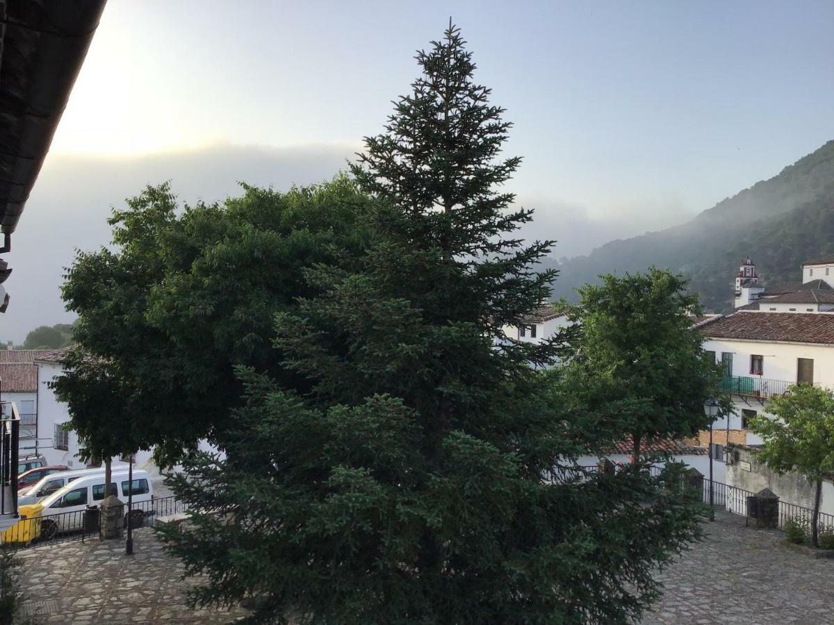 Vivelorural Casa Tassone, Grazalema - Cadiz Villa Ngoại thất bức ảnh