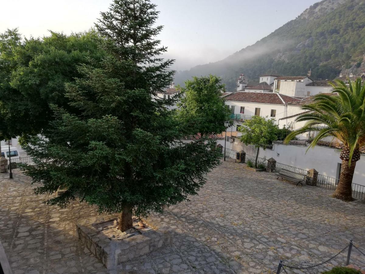 Vivelorural Casa Tassone, Grazalema - Cadiz Villa Ngoại thất bức ảnh